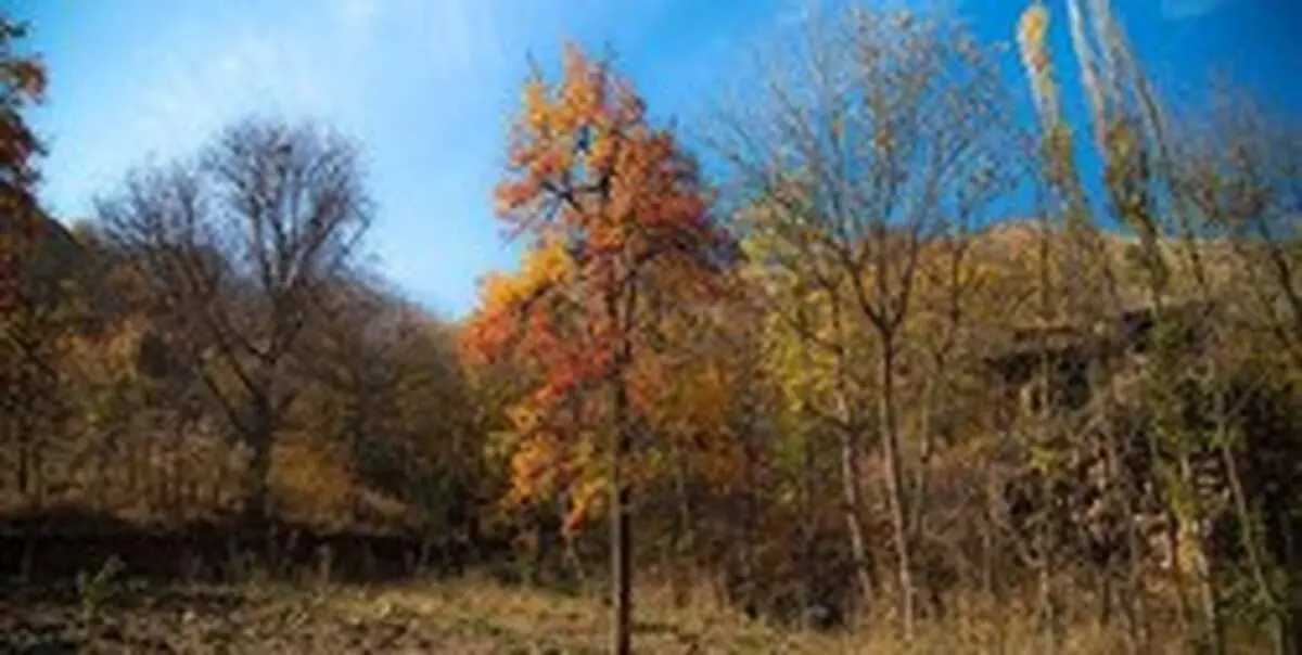 آسمان صاف و نیمه‌ابریِ اغلب شهر‌ها در روز انتخابات/ اول اسفند در پایتخت باران می‌بارد