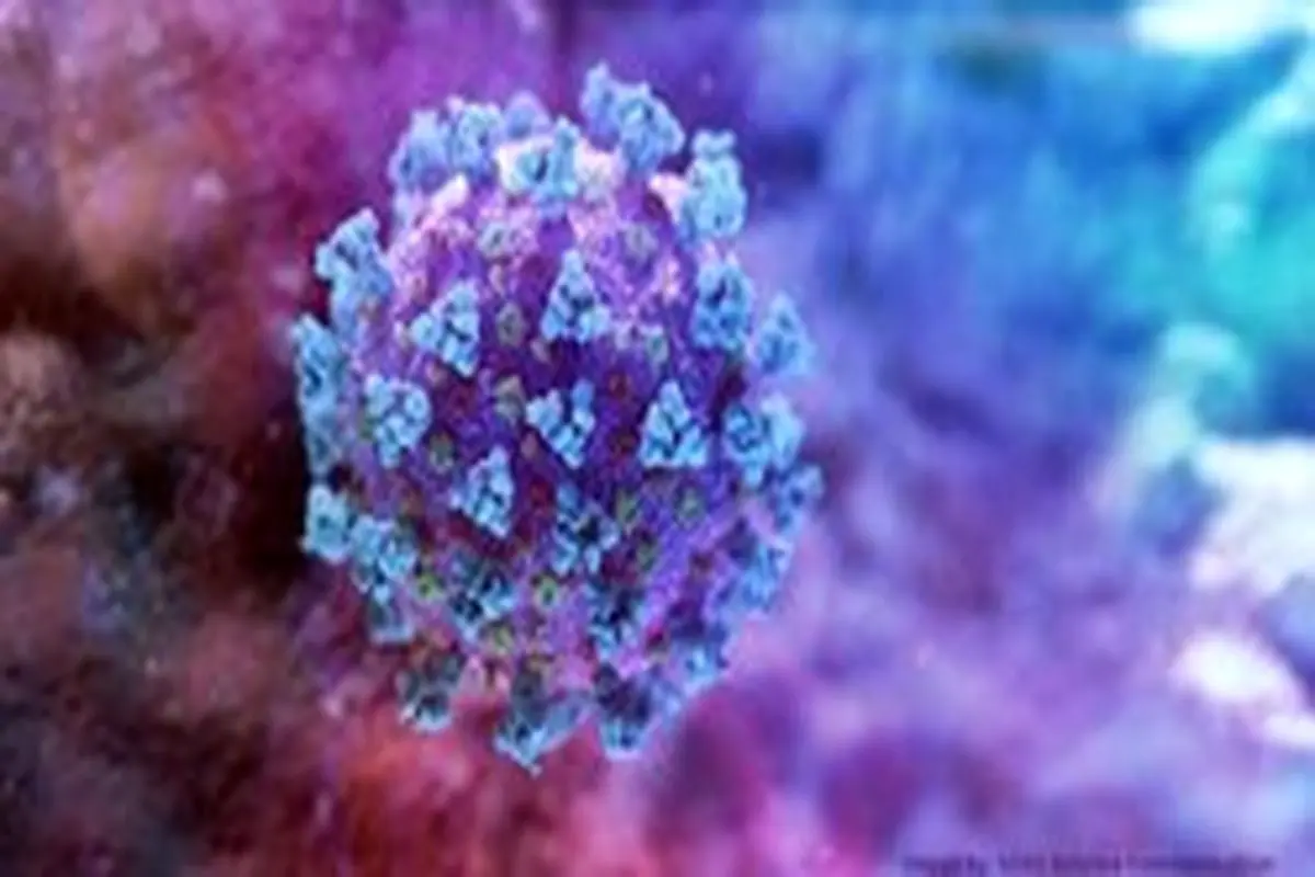 آزمایش مثبت دو مورد مشکوک به کرونا ویروس در ایران