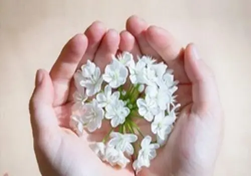 دلایل احساس ناامیدی و راه‌حل‌های موثر برای غلبه بر آن