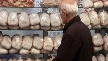 اطلاعیه سازمان دامپزشکی درباره «تریاکی بودن مرغ‌ها»