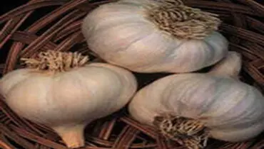 خوراکی‌هایی که بوی سیر را از بین می‌برند
