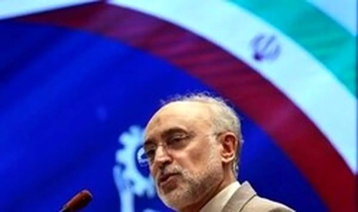 درخواست صالحی از همتای چینی درباره پروژه راکتور اراک