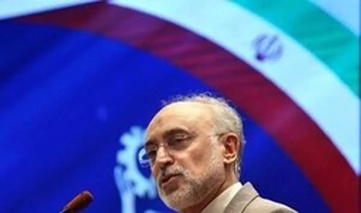 درخواست صالحی از همتای چینی درباره پروژه راکتور اراک