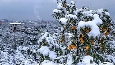 پیش بینی هواشناسی: تداوم بارش برف و کاهش ناگهانی دما در کشور