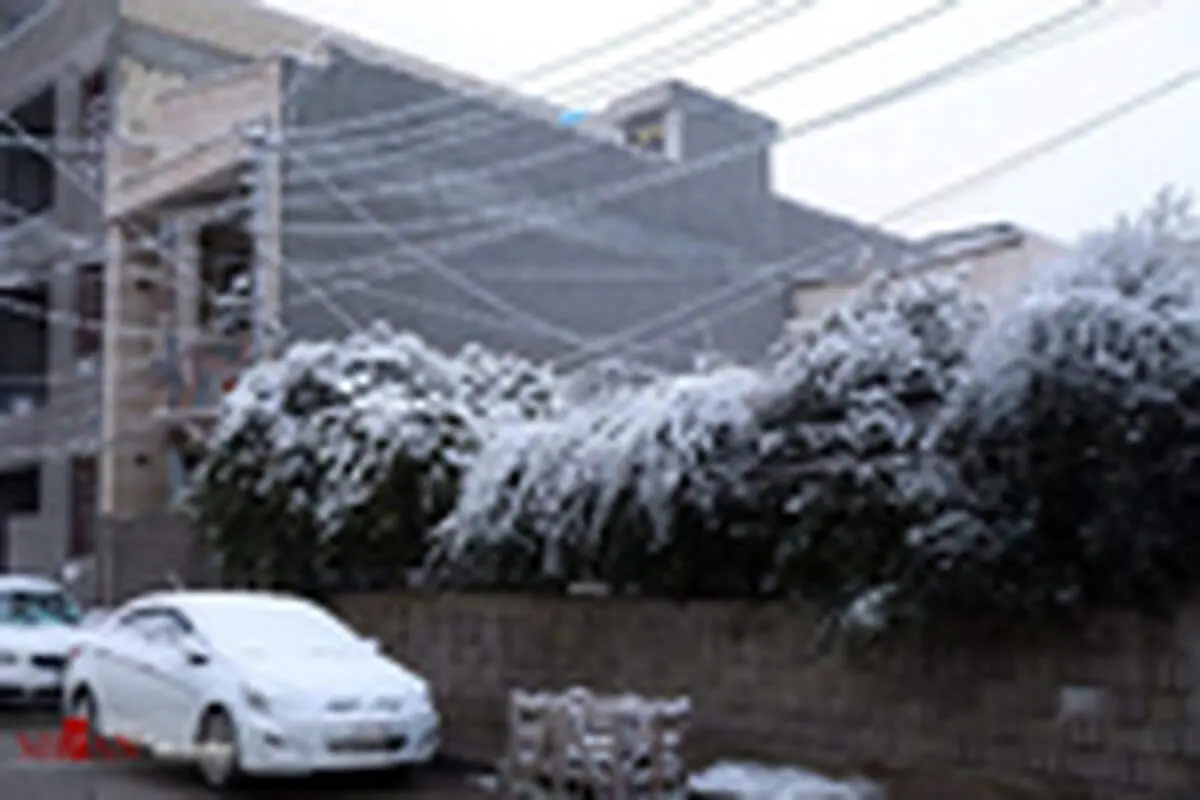 بارش برف در بغداد و کربلا