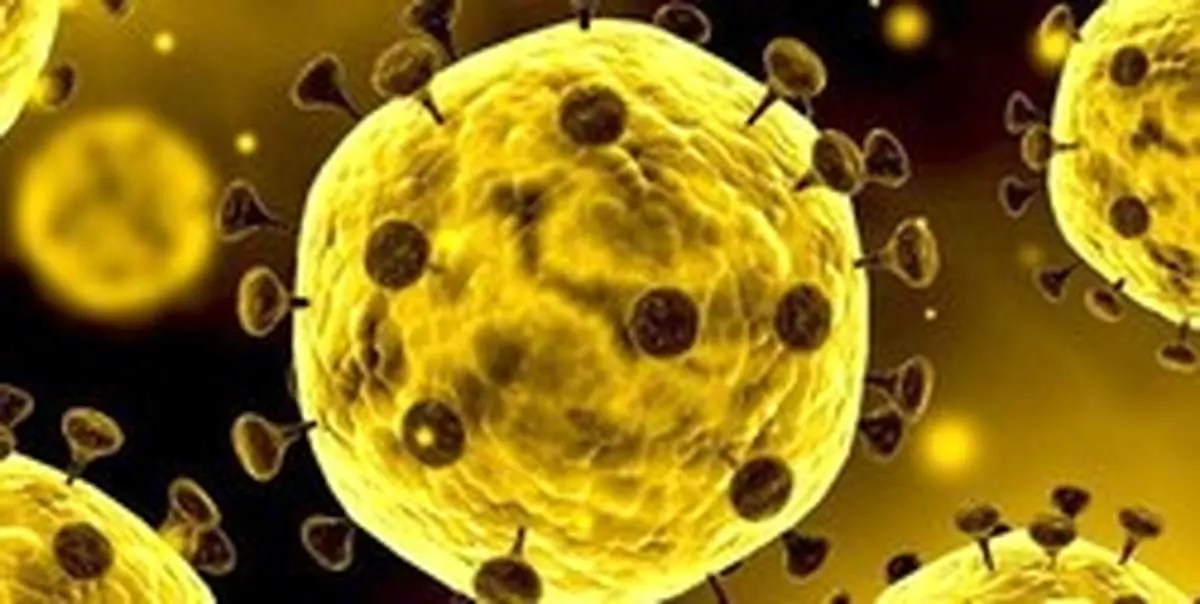 تکذیب «کرونا ویروس» در گیلان