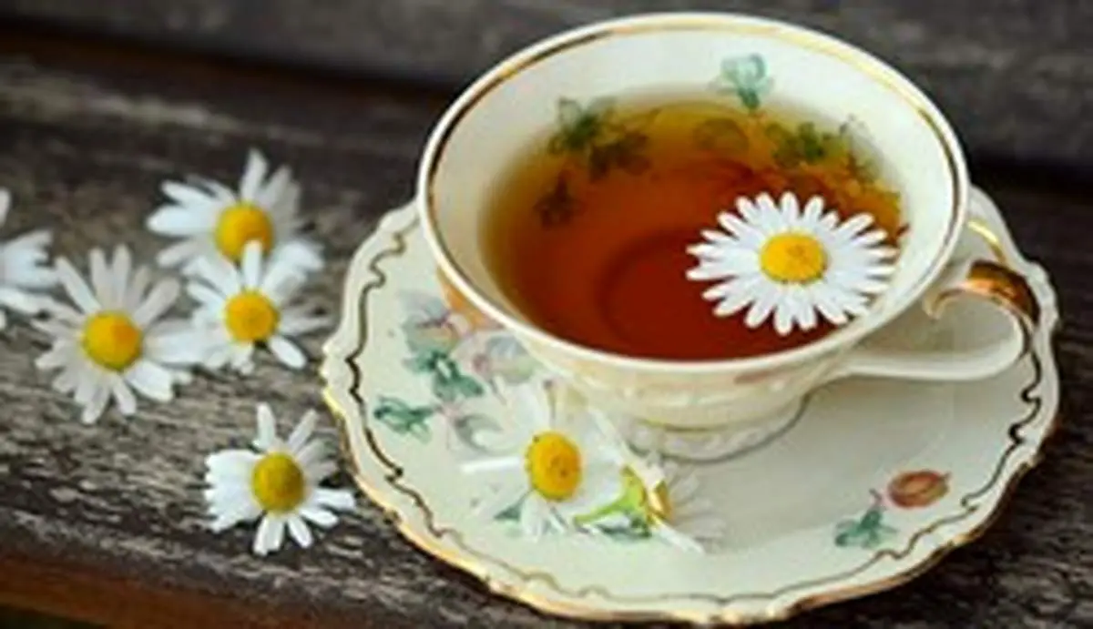 ۷ خاصیت شگفت انگیز بابونه