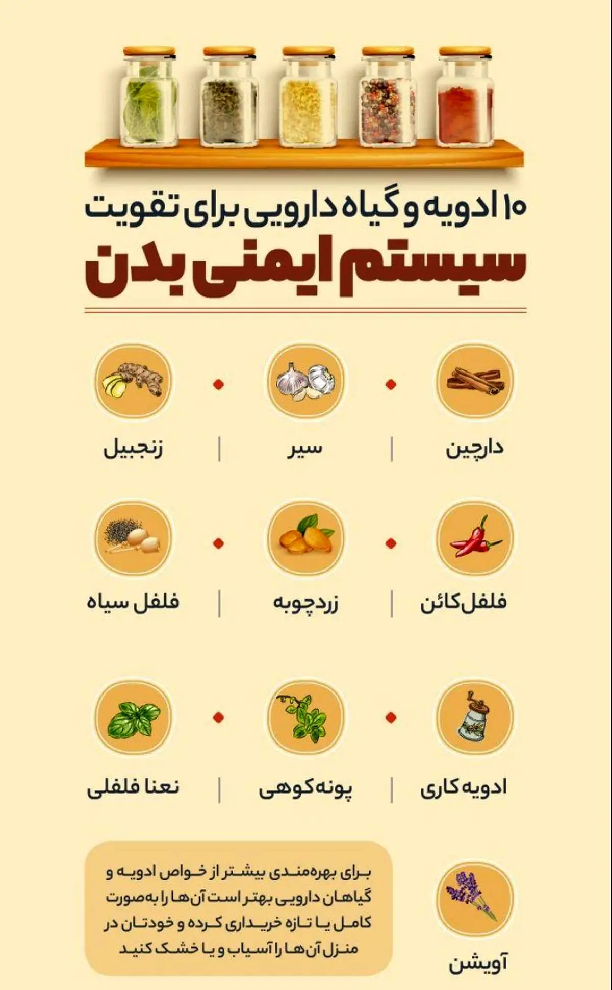 اینفوگرافی/ ۱۰ ادویه و گیاه دارویی برای تقویت سیستم ایمنی بدن
