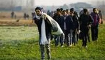 یورش پناهجویان از ترکیه به مرز‌های اروپا