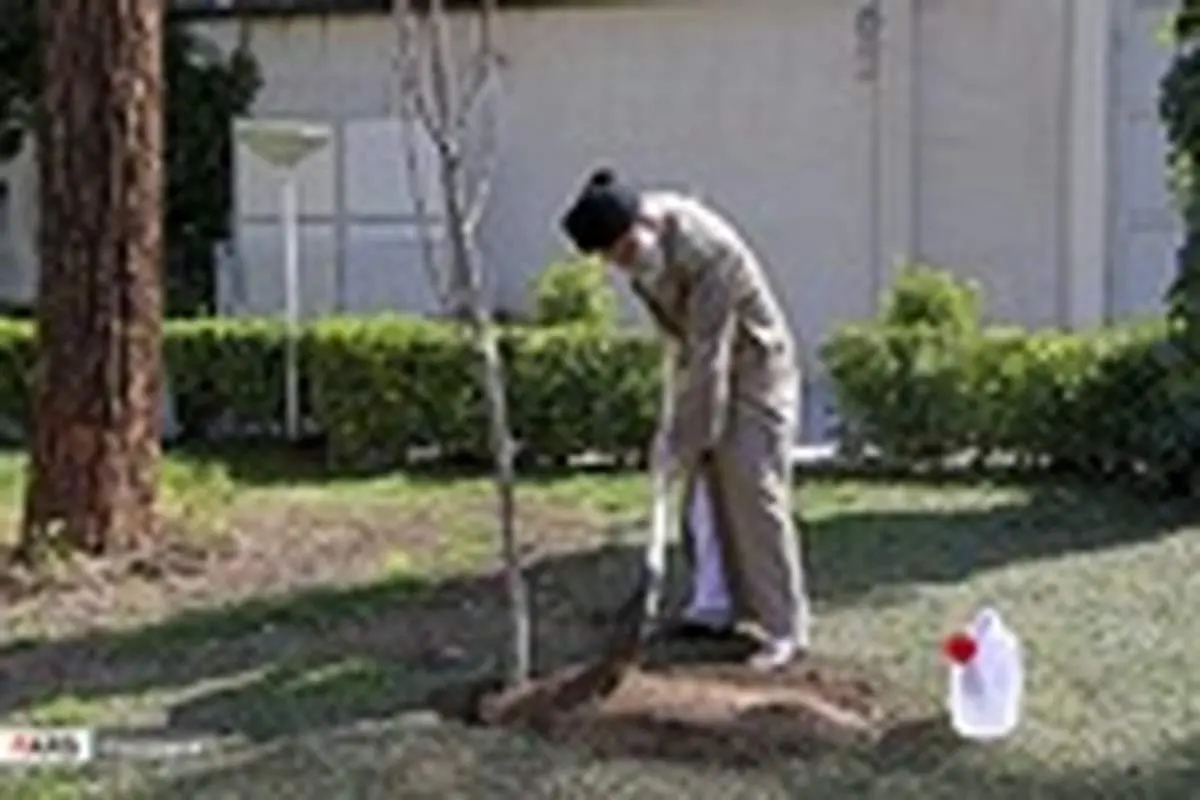 کاشت دو نهال توسط رهبر انقلاب در هفته منابع طبیعی