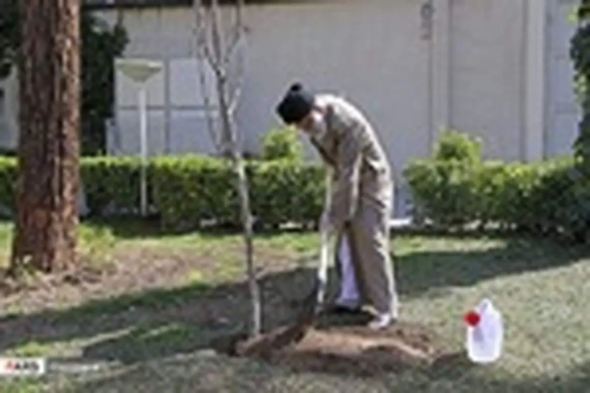 کاشت دو نهال توسط رهبر انقلاب در هفته منابع طبیعی