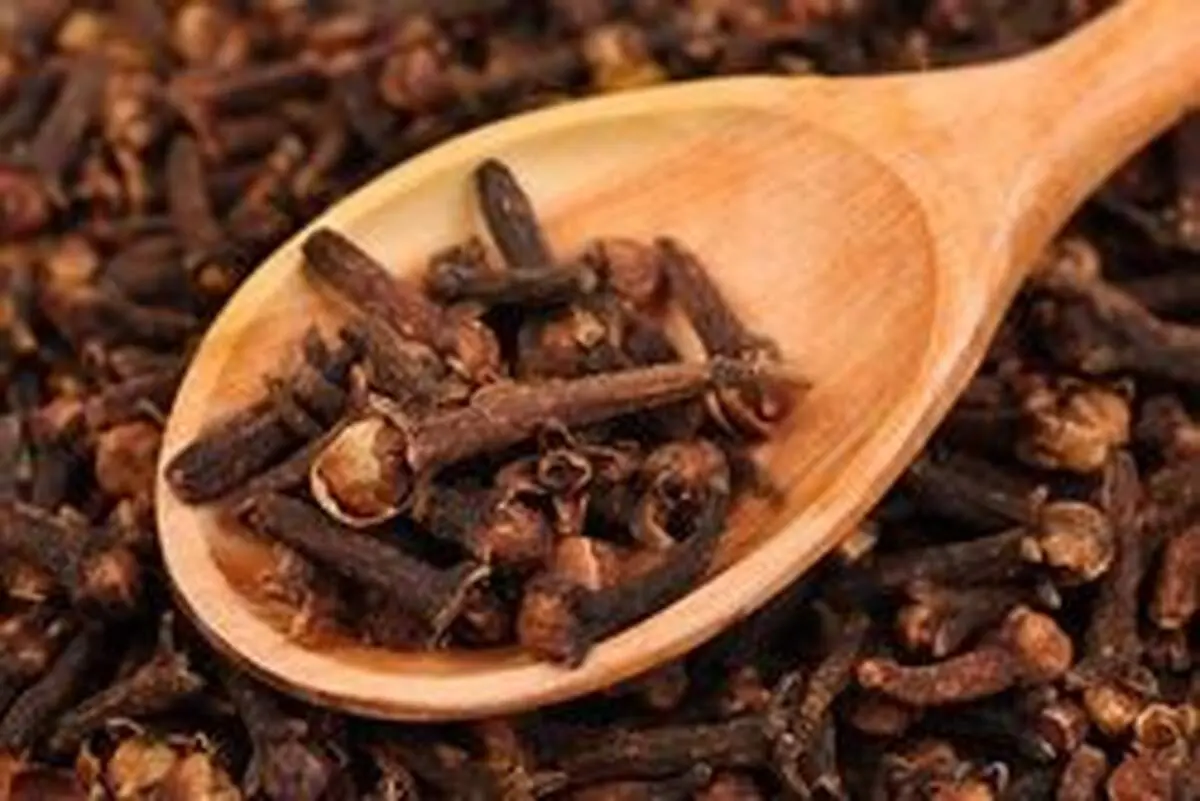 این ۶ مسکن‌ طبیعی را جایگزین داروهای شیمیایی کنید