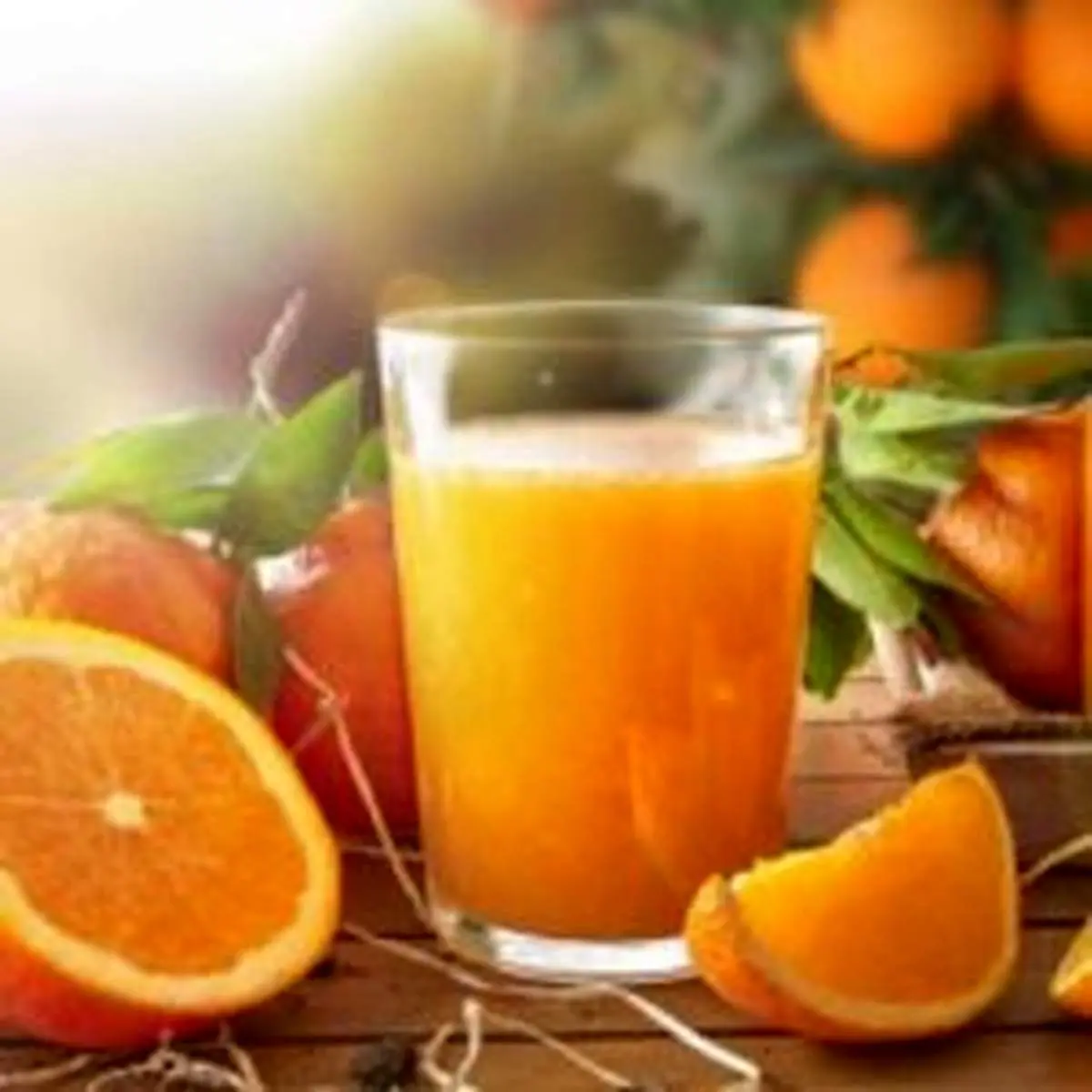 آب این میوه دشمن چاقی است