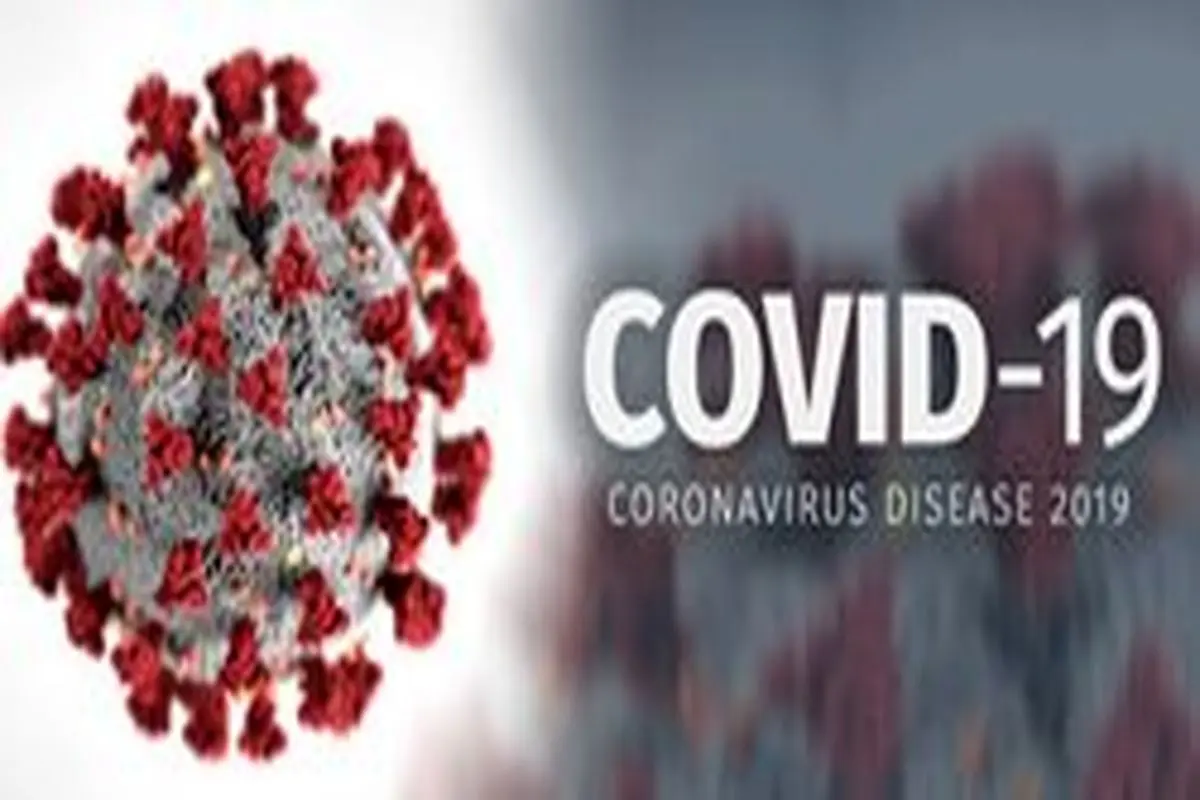 سازمان بهداشت جهانی:میزان مرگ و میر کروناویروس به ۳/۴ درصد رسیده است
