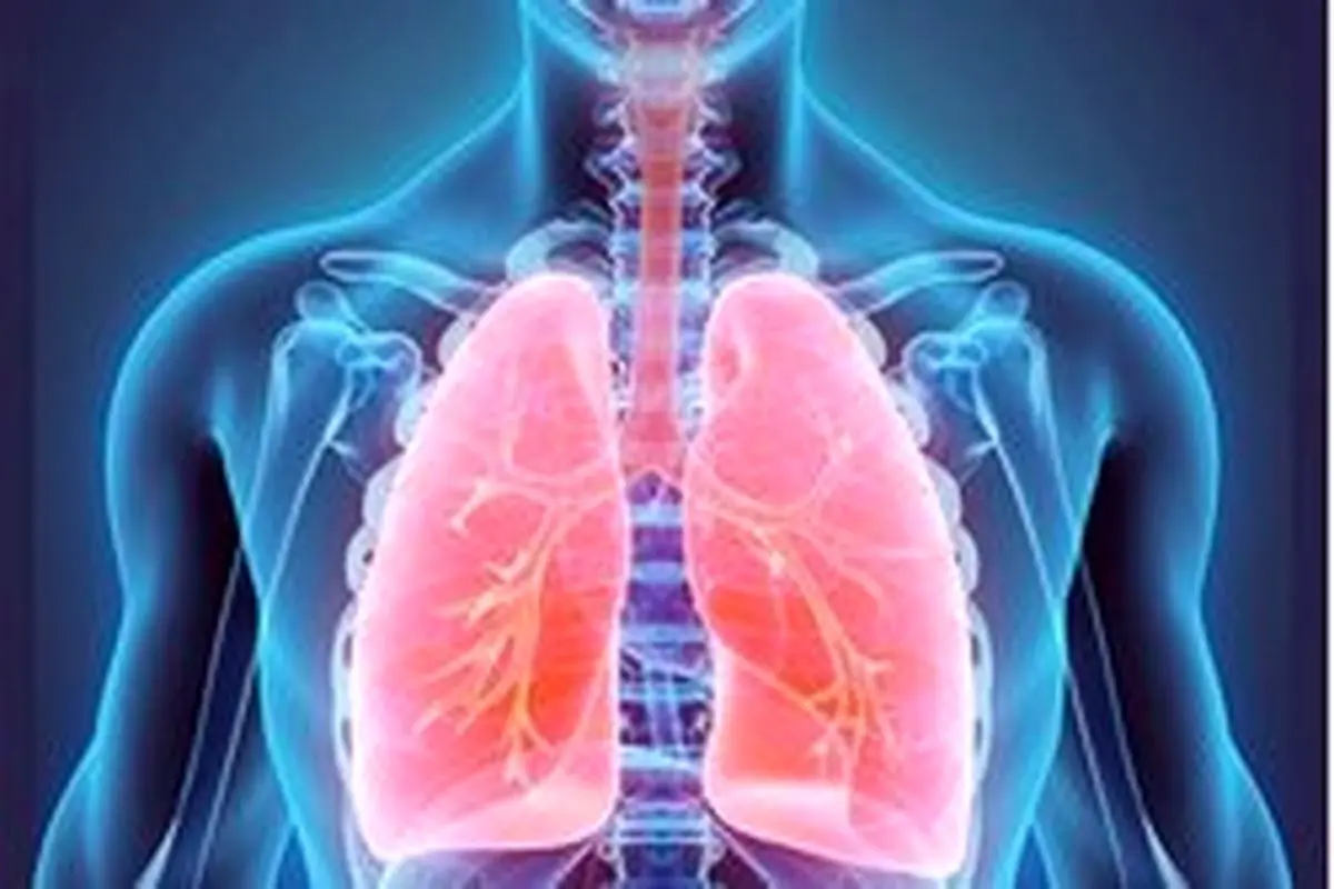 ۶ راهکار برای تقویت ریه‌ها و دستگاه تنفسی