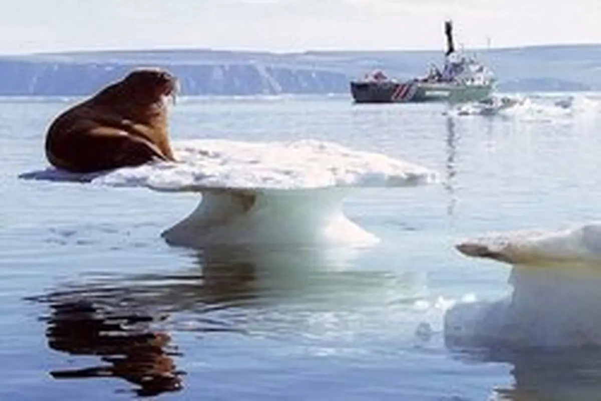 تغییرات ناگهانی و غیرقابل برگشت در قطب شمال