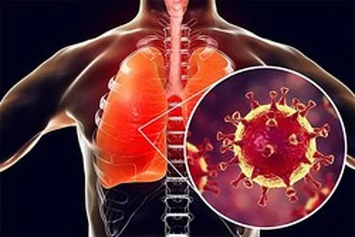 ویروس کرونا با بدن چه می‌کند؟