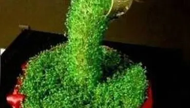 سبزه‌ی عید امسال را آبشاری تزیین کنید + آموزش