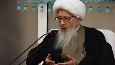 پیام آیت الله وحید خراسانی خطاب به پزشکان و پرستاران