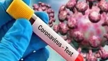 ربیعی: انستیتو پاستور کیت‌های ساخت وزارت دفاع را تایید کرد
