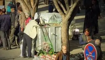 زباله‌گردی در سطح شهر تهران ممنوع شد