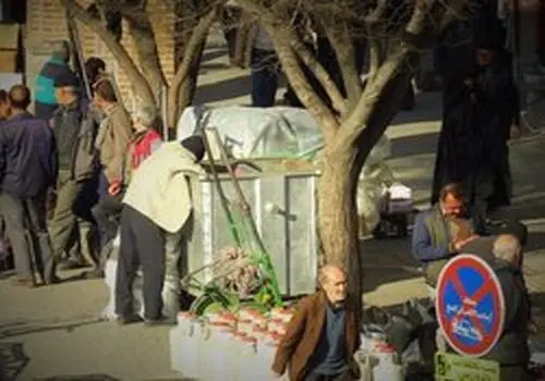 تحقیر عجیب پیشکسوت کشتی روی آنتن زنده