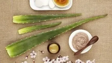 معجزه آلوئه ورا برای پوست