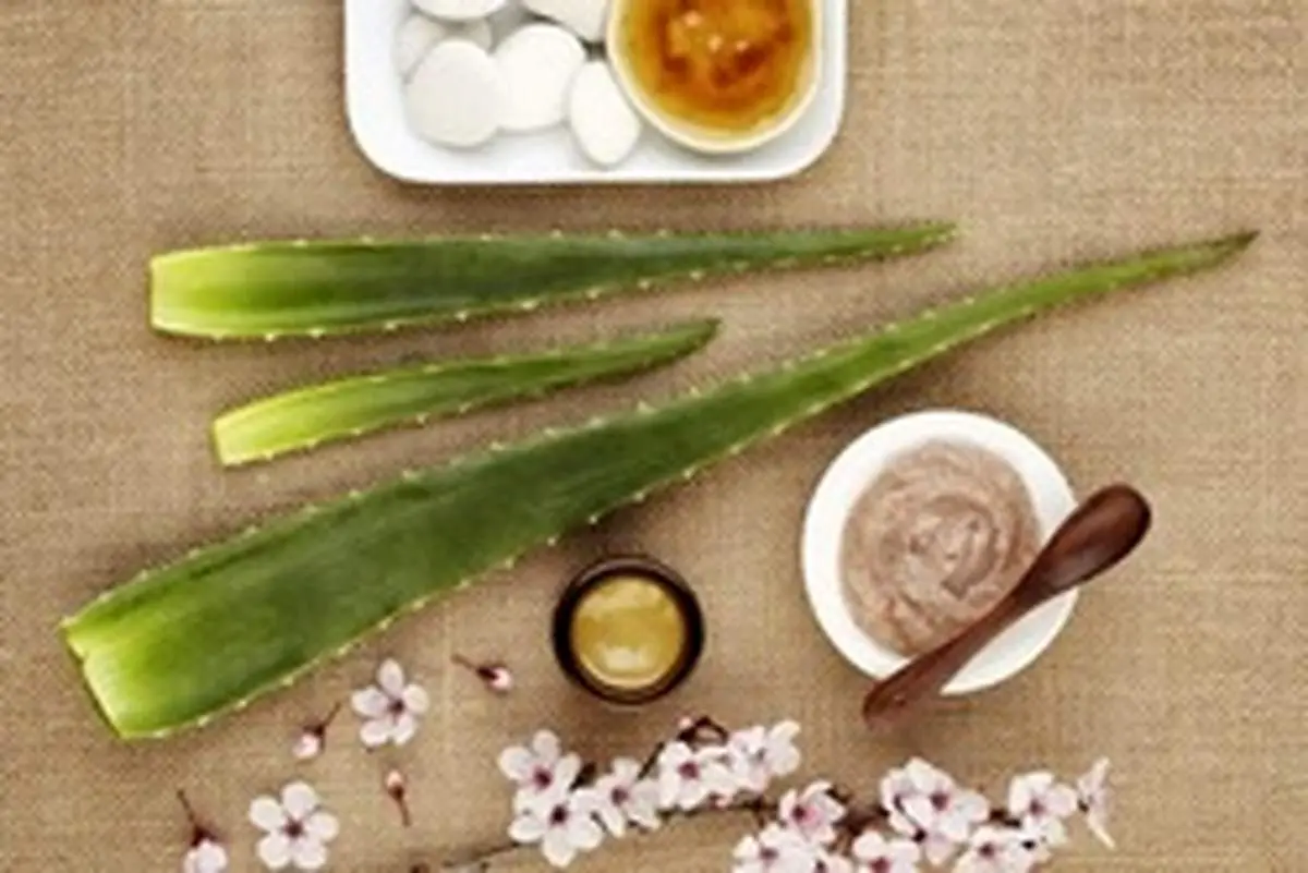 معجزه آلوئه ورا برای پوست