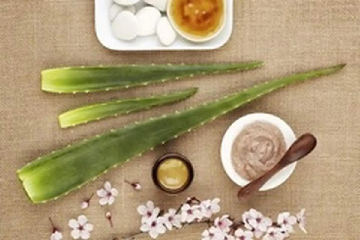 معجزه آلوئه ورا برای پوست