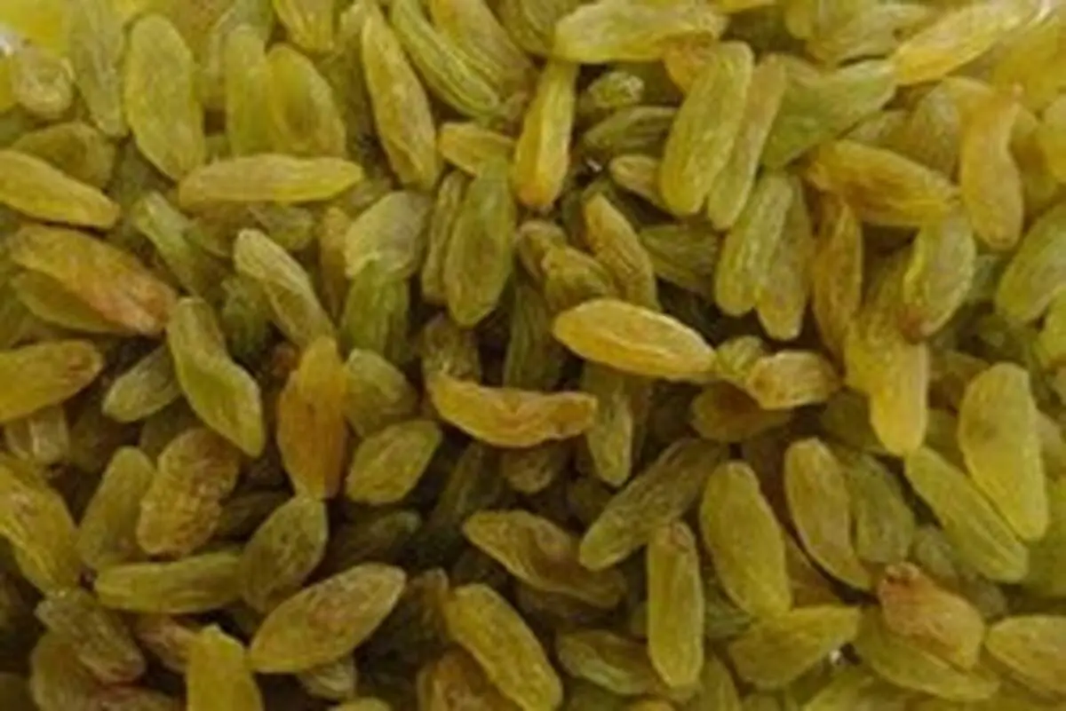 آیا کشمش چاق کننده است؟