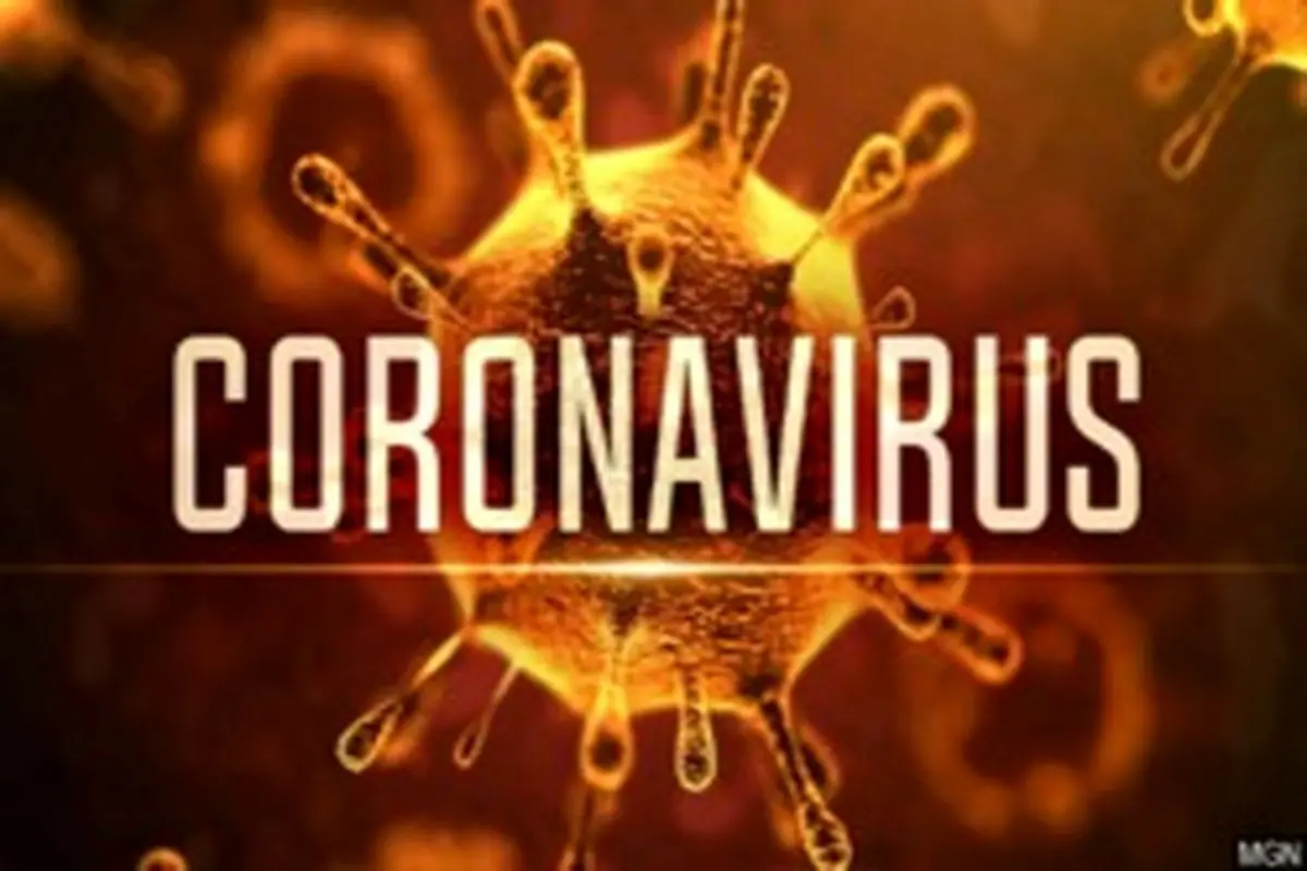 آیا دو نوع ویروس کرونا وجود دارد؟