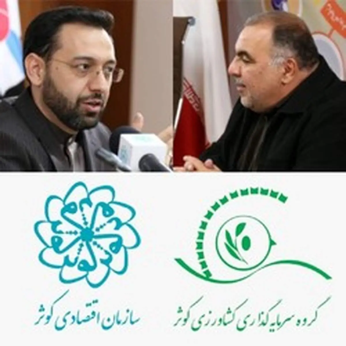 اولین و بزرگترین عرضه اولیه مجموعه بزرگ کشاورزی در بازار سرمایه