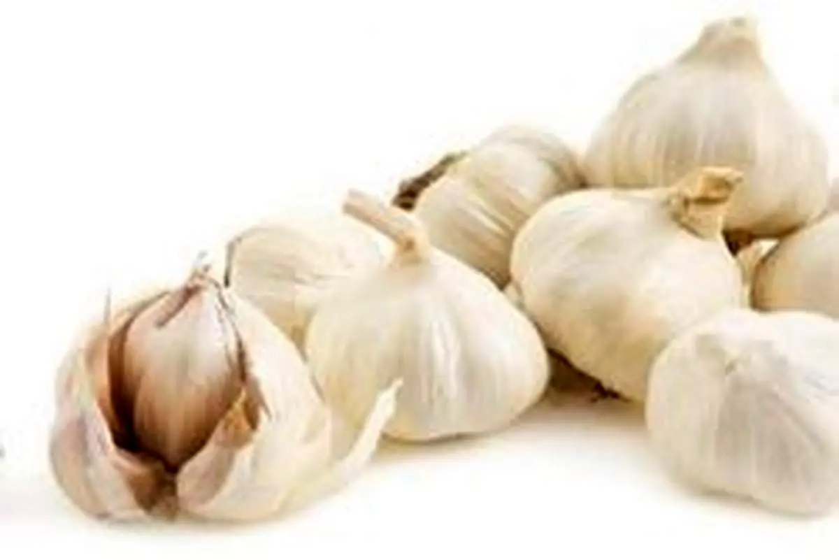 با خوردن سیر اشتهای خود را کم کنید