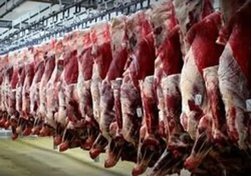ممنوعیت فروش گونه‌های جانوری در بازار شب عید + فیلم