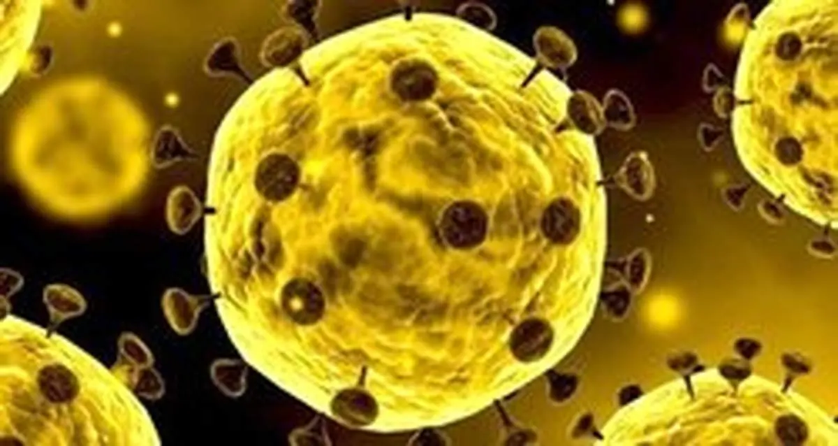مهمترین پایگاه اطلاعاتی آمار کرونا در جهان هک شد +عکس