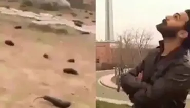 ماجرای کلیپ بارش بادمجان/  ۵ نفر دستگیر شدند