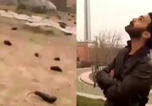 8 نفر در پرونده نزاع مرگبار تهران بازداشت شدند