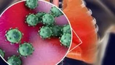 آیا ویروس کرونا از طریق مواد غذایی قابل انتقال است؟