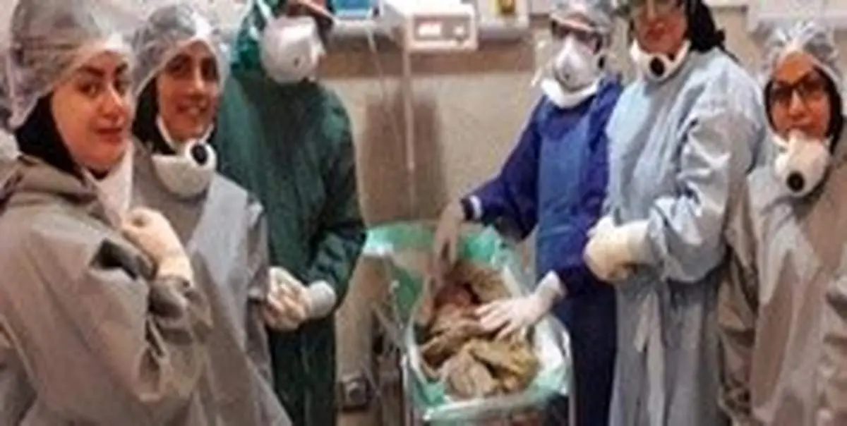 تولد هفتمین نوزاد از مادر باردار مشکوک به کرونا در بابل