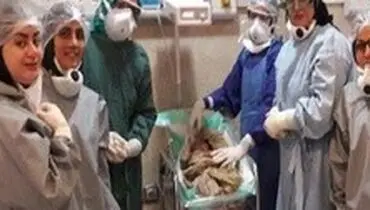 تولد هفتمین نوزاد از مادر باردار مشکوک به کرونا در بابل