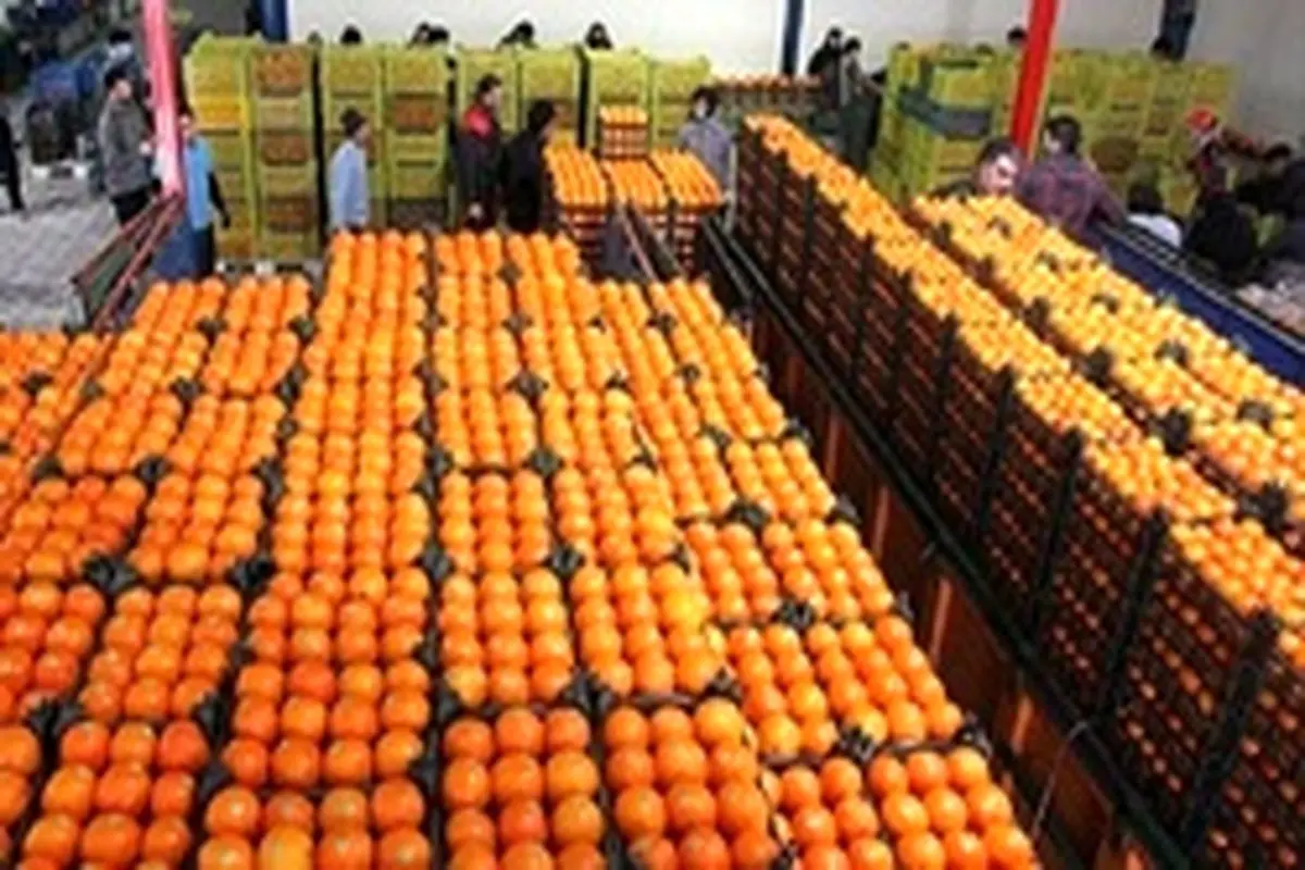 توزیع ۳ هزار بسته میوه رایگان در مناطق ۲۲ گانه