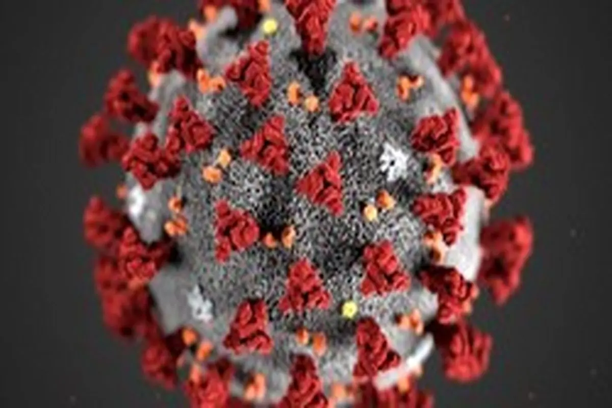 جدیدترین تصاویر از ویروس کرونا پس از کشف دانشمندان روسی