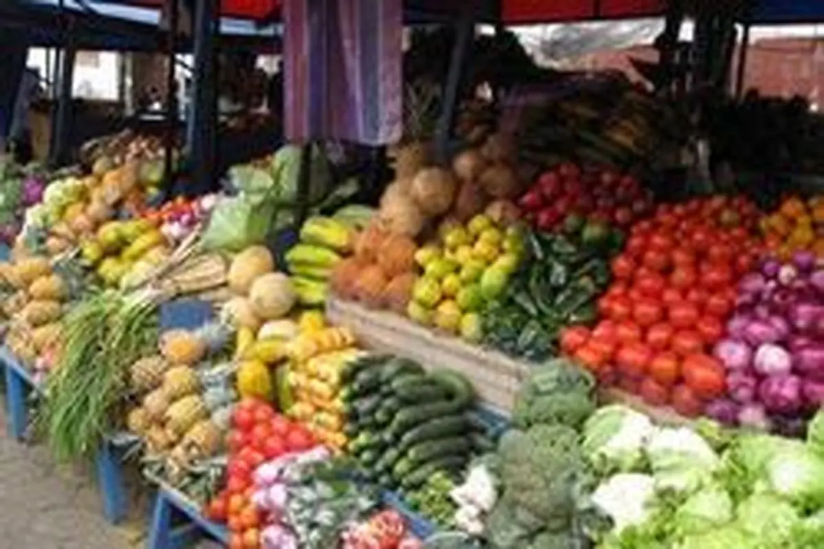 جدیدترین قیمت میوه در میدان مرکزی تره بار +سند