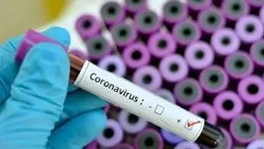 شناسایی ۹۶۶ مبتلای جدید به ویروس کرونا/ آمار جانباختگان ۱۵۵۶ نفر