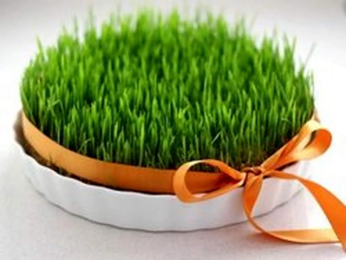 سبزه لوبیا چشمبلبلی