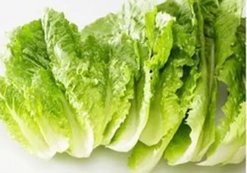 نکات طلایی برای تازه نگه داشتن کاهو در یخچال
