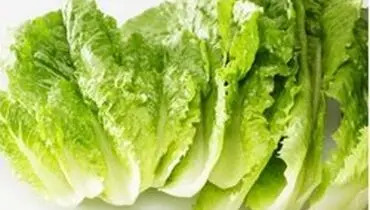 تاثیر پروتئین کاهو در بهبود سریع‌تر شکستگی استخوان