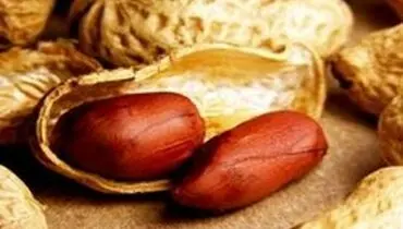 فواید و مضرات بادام زمینی