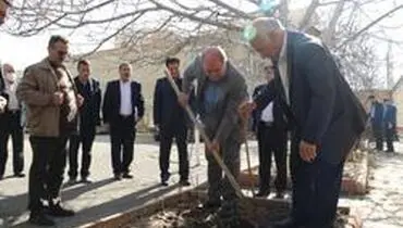 غرص نهال معاون پارلمانی وزیر ورزش و جوانان به یاد شهدای والامقام