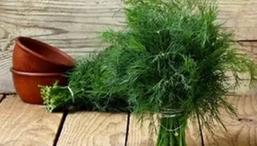 در این روز‌ها این سبزی را به سبدغذایی خود اضافه کنید